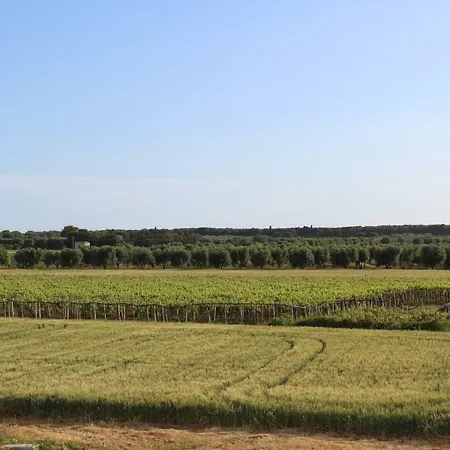 Casa vacanze Casale Cariddi Sant Isidoro (Apulia)